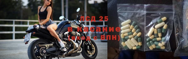 амф Мегион