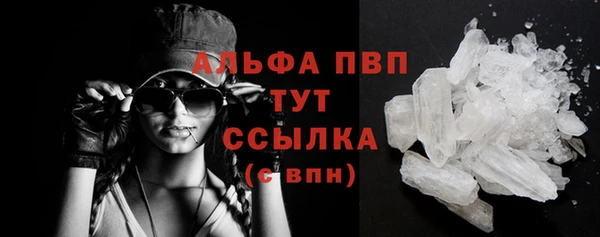 мяу мяу мука Медвежьегорск