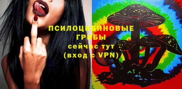 мяу мяу мука Медвежьегорск