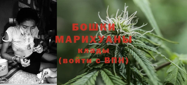 амф Мегион